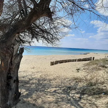 Dea Del Mare Salento Villa *