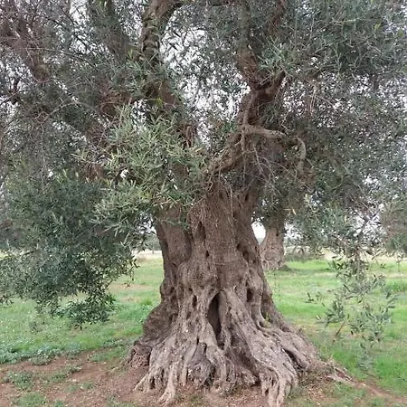 Villa Dea Del Mare Salento *